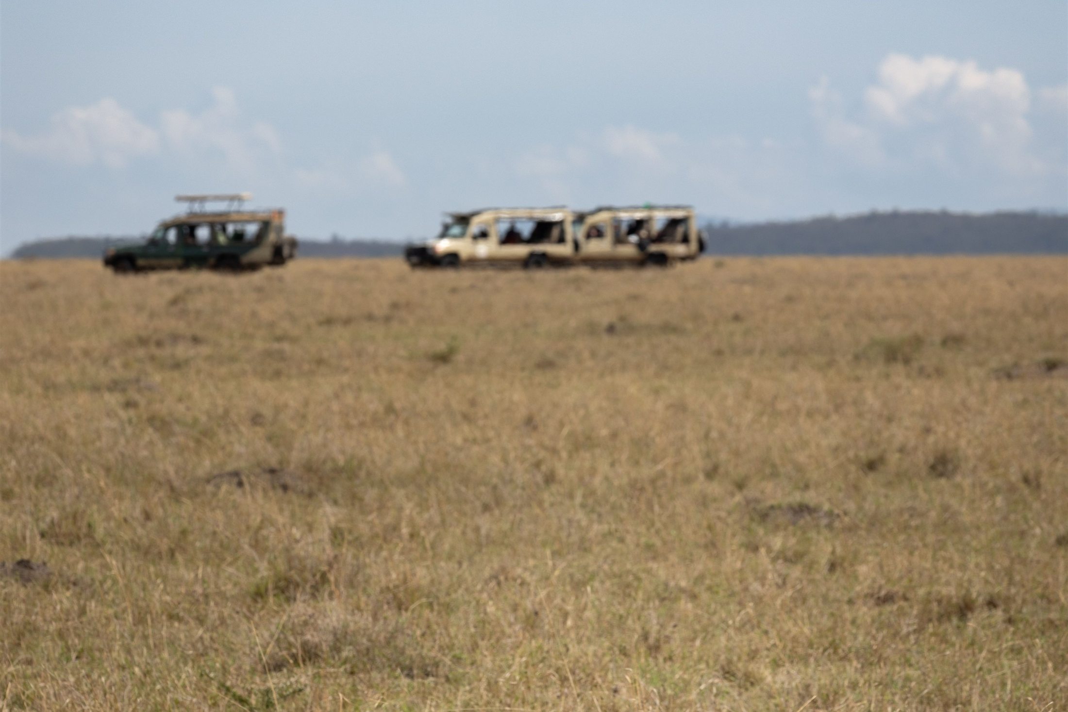 Safari vehicles cross a wide Kenyan savannah while a cheetah rests in the grass