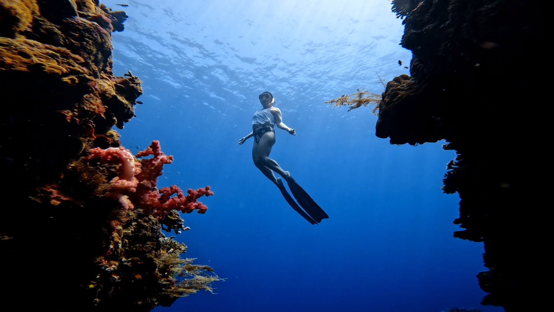 Donna freediving between reef walls in clear blue water in the Philippines